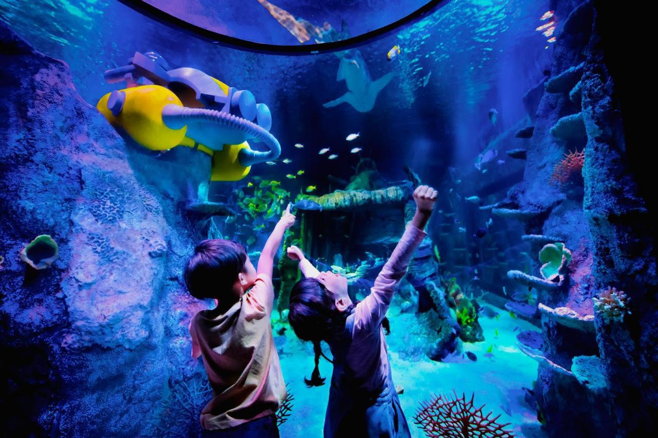 Legoland Malaysia Hotel Нусаджая Екстериор снимка Aquarium at the National Museum of Natural History